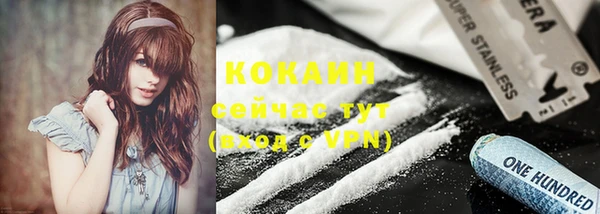дживик Елабуга