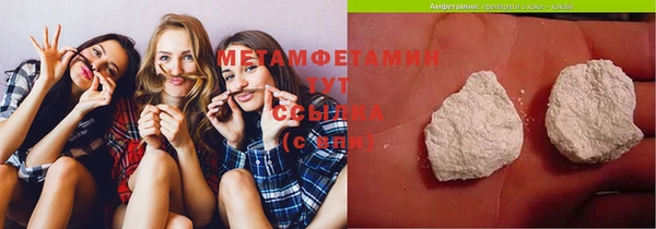 амф Ельня