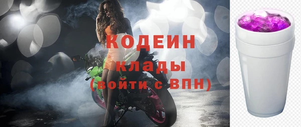 прущие грибы Ессентукская