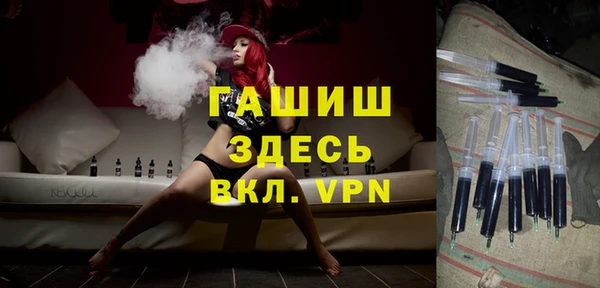 амф Ельня