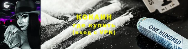 амф Ельня
