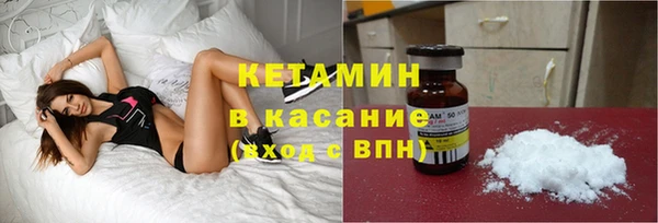 амф Ельня