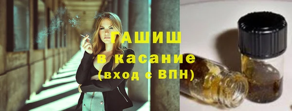 дживик Елабуга