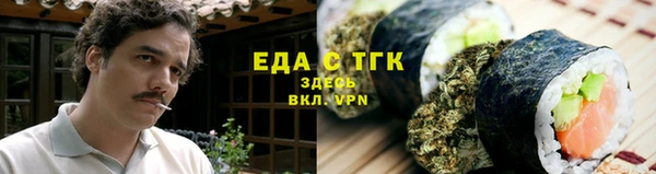 амф Ельня