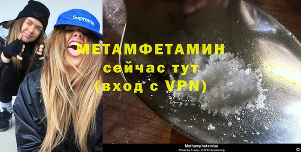амф Ельня