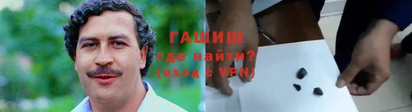 амф Ельня
