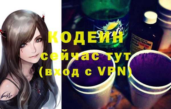 амф Ельня