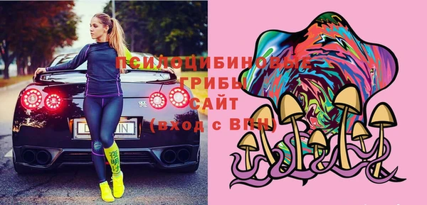 амф Ельня