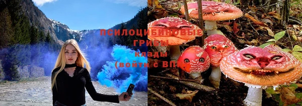 амф Ельня