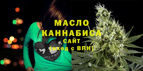 амф Ельня