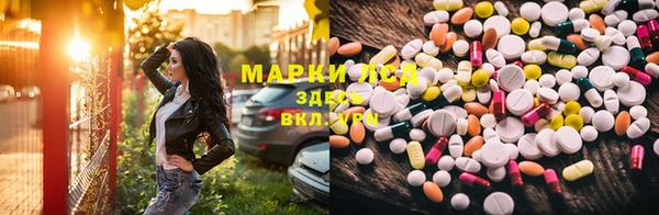 амф Ельня