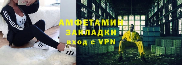 амф Ельня