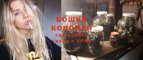 дживик Елабуга
