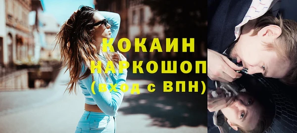 амф Ельня