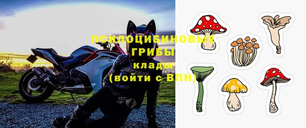 Альфа ПВП Елизово