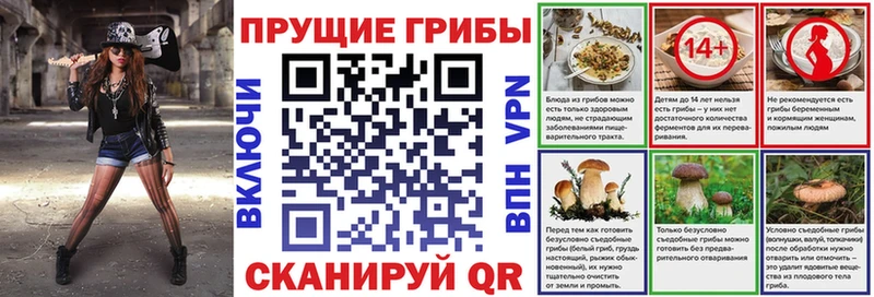 Галлюциногенные грибы Psilocybine cubensis Сосногорск
